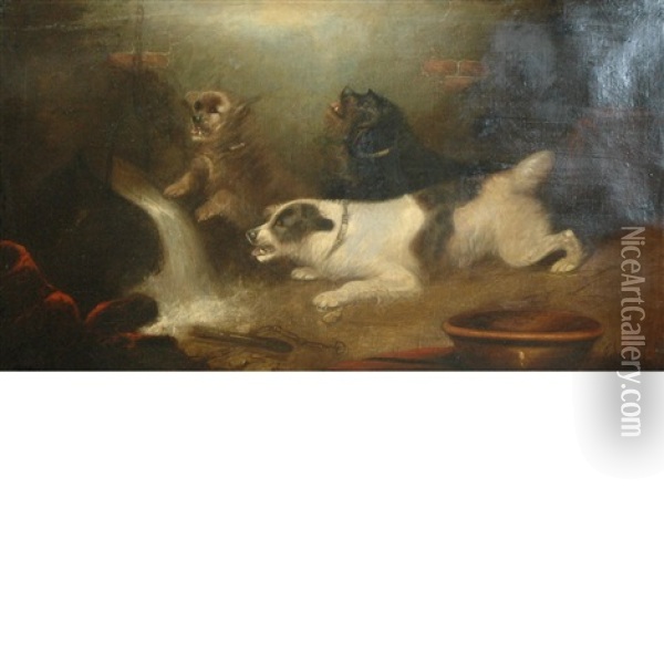 Mischievous Dogs Oil Painting - Edward Armfield