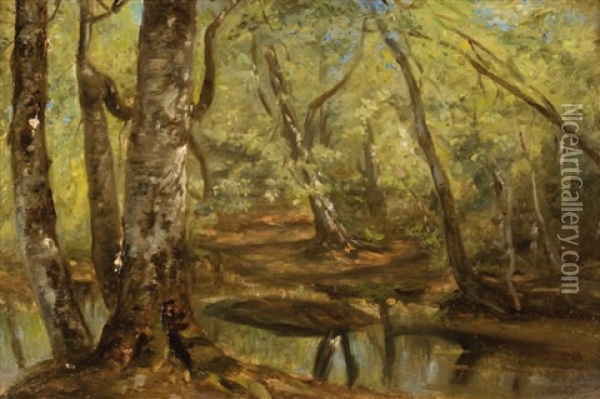 Ruisseau En Sous-bois Oil Painting - Paul Huet
