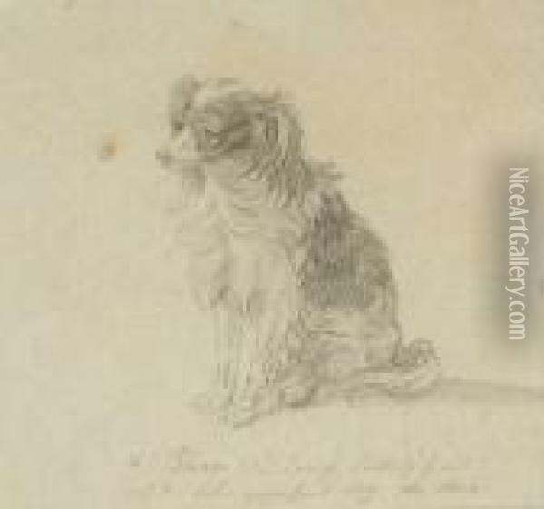 Le Prince' Des Konigs Lieblings Hund Oil Painting - Adam Albrecht