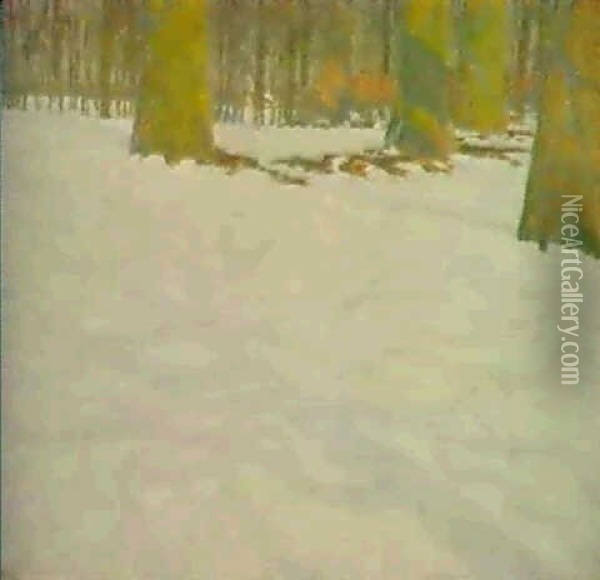 Paysage D'hiver Oil Painting - Emile Claus