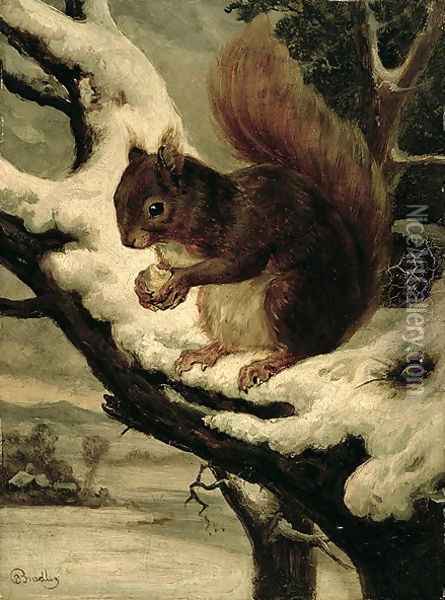 A Red Squirrel Eating a Nut Oil Painting - Basil Bradley