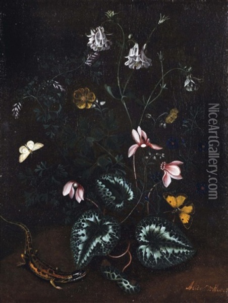 A Forest Floor With Aquilegia, Various Other Flowers, Butterflies And A Lizard Oil Painting - Alida Withoos