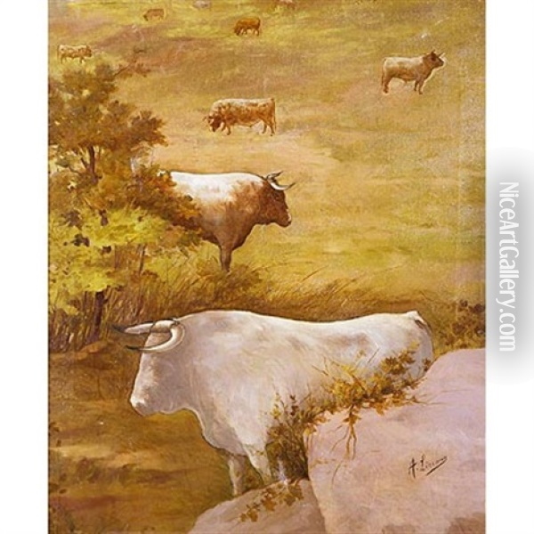 Toros En La Pradera Oil Painting - Angel (Monedero) Lizcano y Esteban