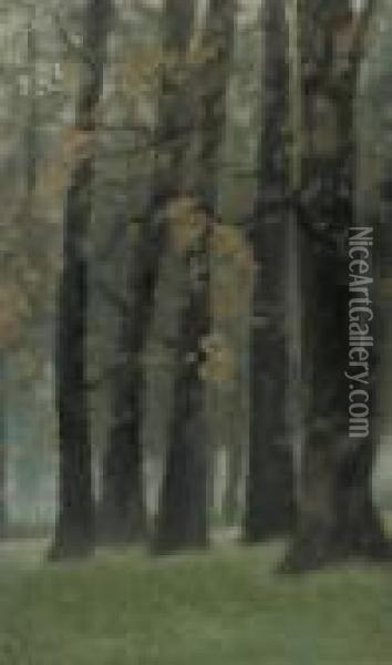 Clump Of Trees, Twilight, Kensington Gardens Oil Painting - Paul Fordyce Maitland