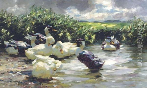 Enten In Grunem Wasser: Ducks On Green Water Oil Painting - Alexander Max Koester