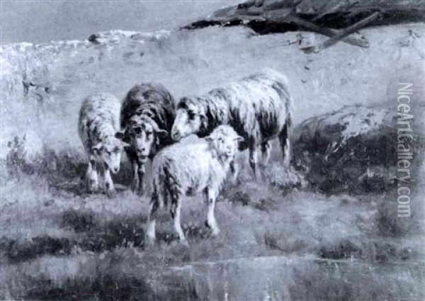 Schafe An Einem Weiher Vor Einem Bauernhaus Oil Painting - John (Giovanni) Califano