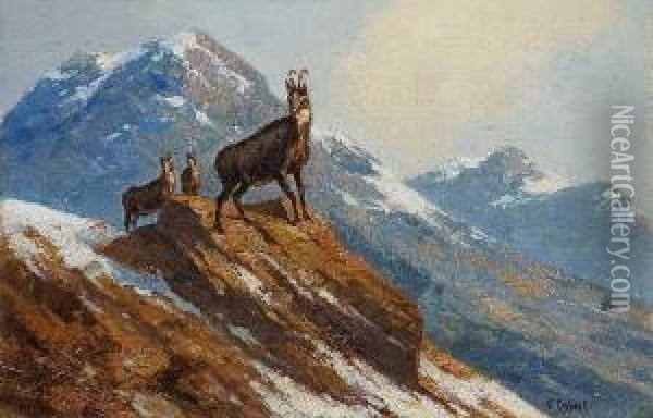 Gemsen Im Gebirge Oil Painting - Carl Friedrich Ockert