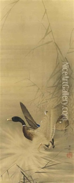 Two Ducks Amongst Reeds, One Taking Off Into Flight Oil Painting - Ohara Kosun