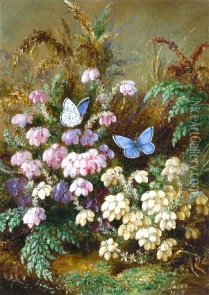 Cross Leaved Heath(er) White And Red, Lady Fern, Pair Of Azure Blue Butterflies Oil Painting - Albert Durer Lucas