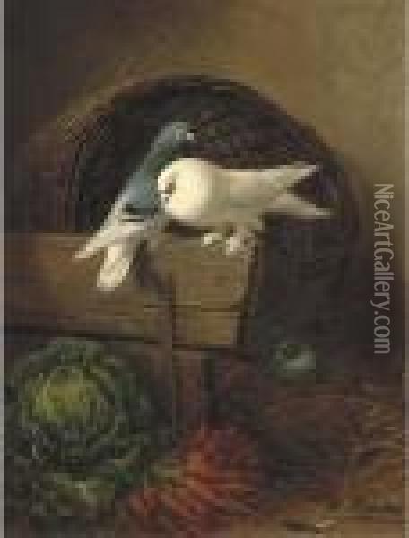Duiven In Een Stalhoek: Pigeons In A Barn Oil Painting - Henriette Ronner-Knip
