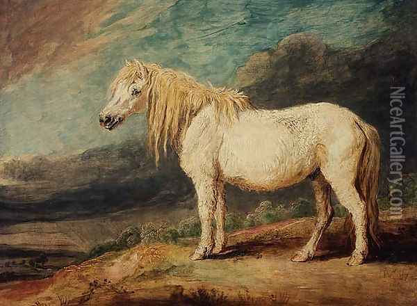 Shetland Pony Oil Painting - James Ward