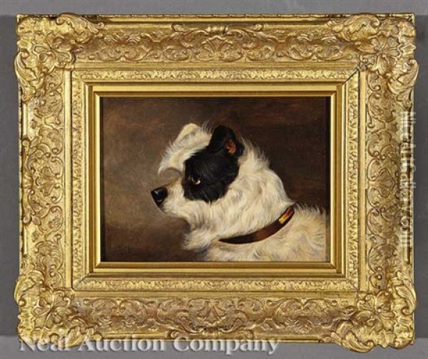 Norfolk Black And White Terrier And White Bull Terrier (2 Works) Oil Painting - Edwin (of Bath) Loder