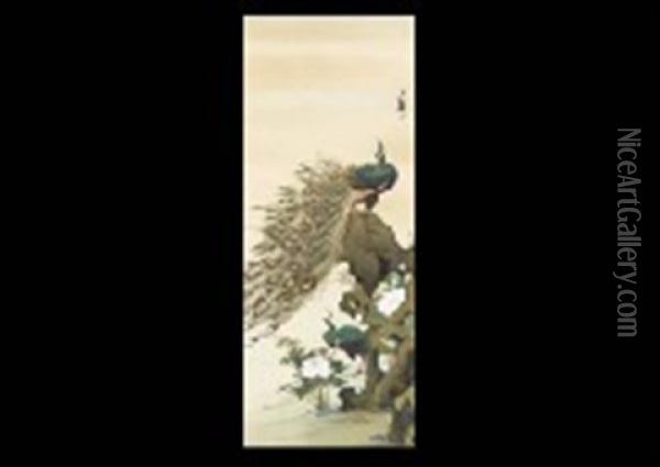 Peacock Oil Painting - Keinen Imao