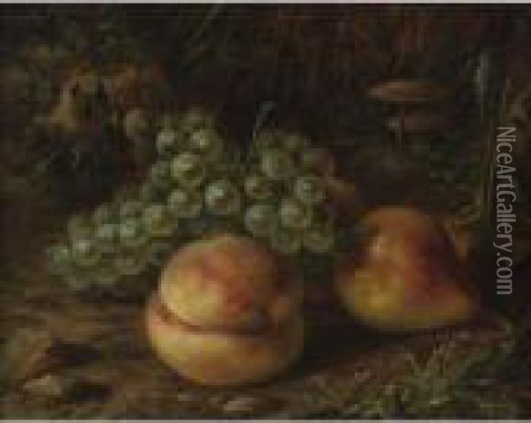 Fruit With Mushrooms Growing Oil Painting - Arnoud Wydeveld