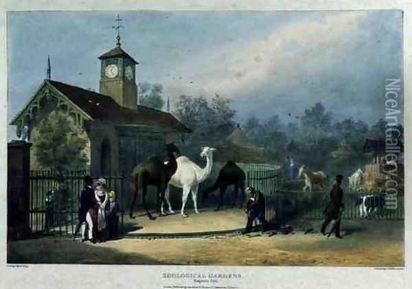 The Camel House at the Zoological Gardens, Regent's Park, engraved and pub. by the artist, printed by Charles Hullmandel 1789-1850, 1835 Oil Painting - George the Elder Scharf