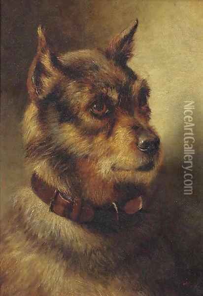A border terrier Oil Painting - Herbert William Weekes