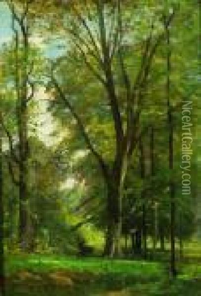 Woodland View Oil Painting - Achille Francois Oudinot