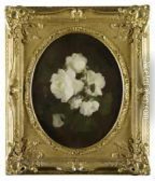 A Still Life Of White Roses Oil Painting - James Stuart Park