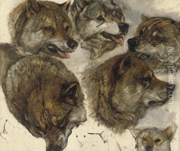Study Of Huskies Heads Oil Painting - George Bouverie Goddard