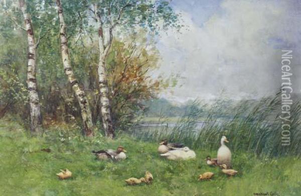 Ducks And Ducklings On A River Bank Oil Painting - David Adolf Constant Artz
