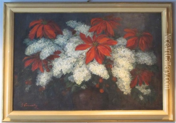 Nature Morte Au Bouquet De Poinsettia Et Lilas Oil Painting - Giuseppe Pennasilico