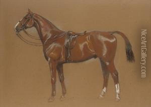 Liffey Bank: A Chestnut Hunter Oil Painting - Cecil Charles Aldin