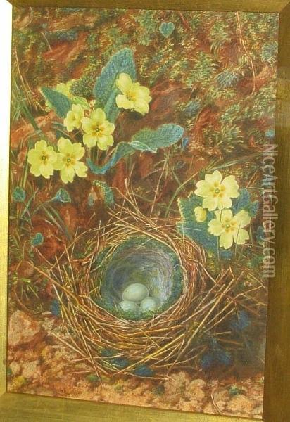 Bird's Nest And Primrose On A Mossy Bank Oil Painting - John Jessop Hardwick