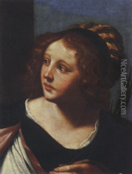 San Girolamo Oil Painting - Jacopo Palma il Giovane