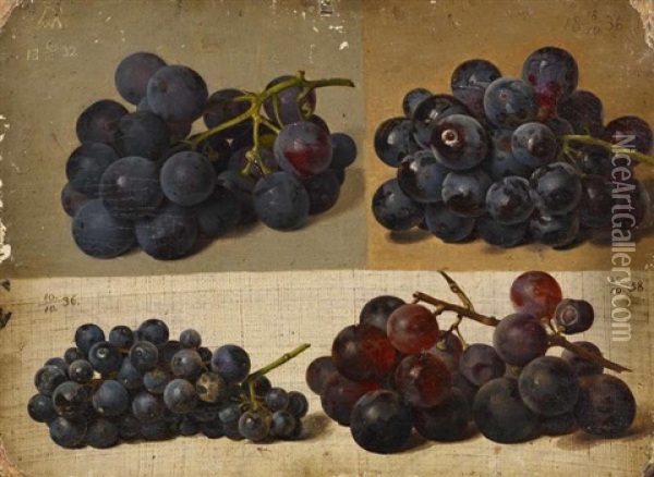 Vier Blaue Trauben, Auf Unterschiedlich Getontem Hintergrund Oil Painting - Johann Wilhelm Preyer