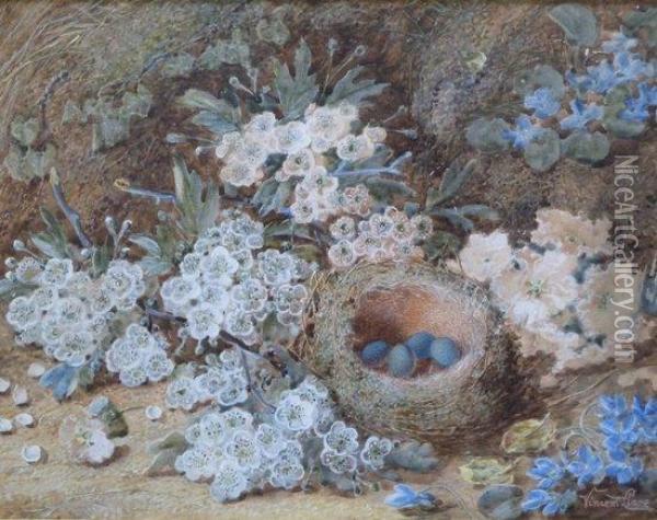 Blossom And Birds Nest On A Mossy Bank Oil Painting - Vincent Clare