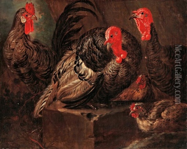Aves De Corral Oil Painting - Giovanni Agostino (Abate) Cassana