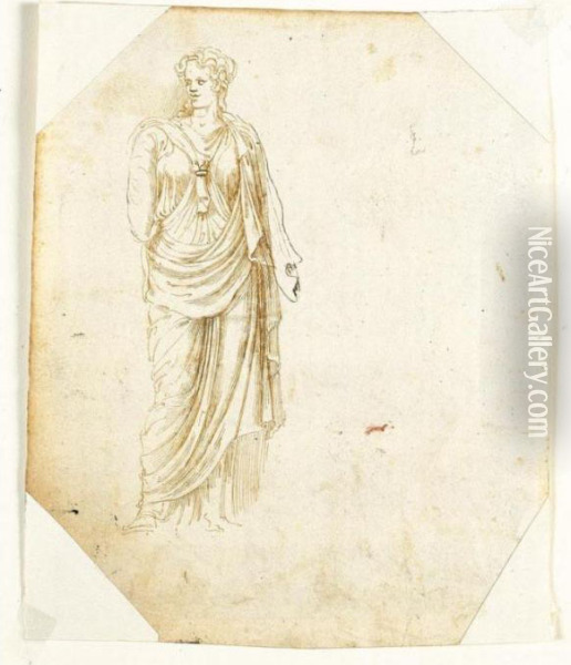 Due Studi Dall'antico: Studio 
Femminile (recto) E Disegno Per Soffitto A Grottesche (verso) Oil Painting - Girolamo da Carpi