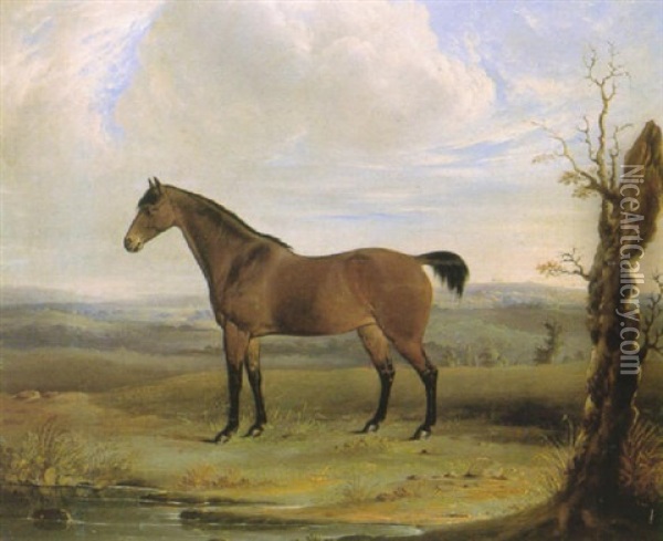 A Bay Horse In A Landscape Oil Painting - Edmund Havell the Younger