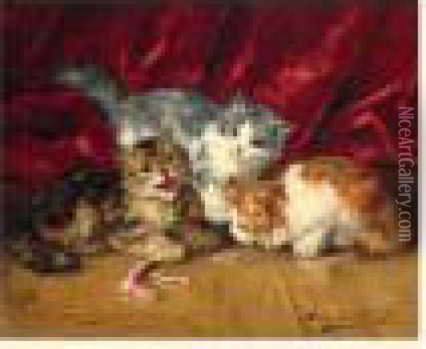 Trois Chatons Jouant Oil Painting - Alphonse de Neuville