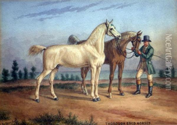 Thorough Bred Horses Oil Painting - Augustus Kollner