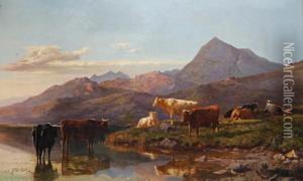 Landscape With Cattle Oil Painting - Sidney Richard Percy