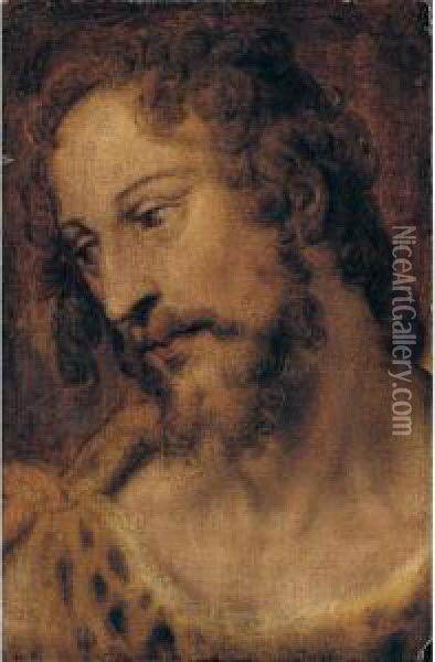 A Study Of Saint John The Baptist, Bust Length Oil Painting - Bartolomeo Passarotti