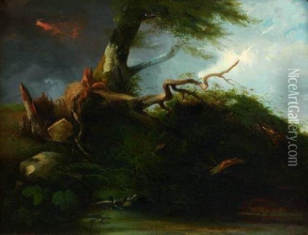 Scene D'orage Sur Un Paysage Marecageux Oil Painting - Jules Louis Phillipe Coignet