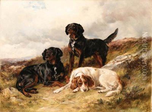 Three Setters In A Landscape Oil Painting - James Jnr Hardy