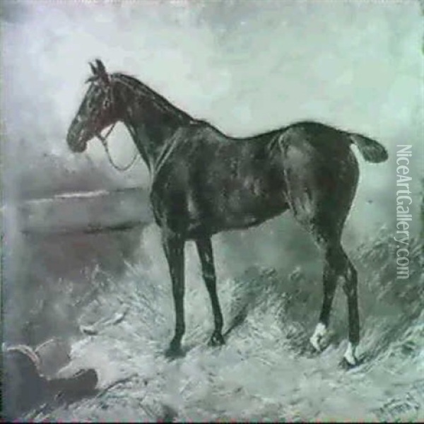 A Horse In A Stable Interior Oil Painting - John Emms