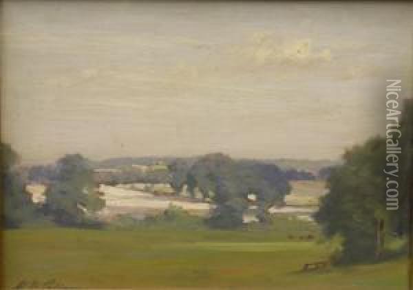 Landscape With Fields Andtrees Oil Painting - William Mainwaring Palin