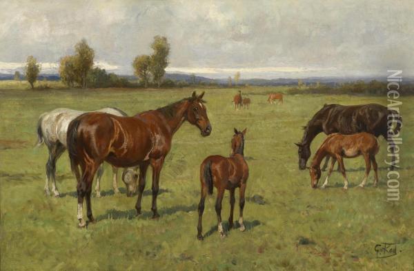 Horses In The Pasture Oil Painting - Georg Karl Koch