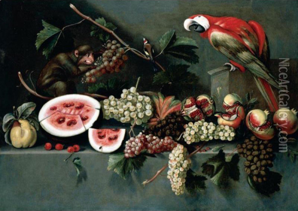 Still Life Of Watermelon, Grapes, Pomegranates, Pears And Cherries, Together With A Monkey, A Goldfinch And A Macaw, Set Upon A Stone Ledge Oil Painting - Giovanni Quinsa