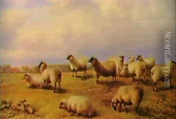 Sheep At Pasture Oil Painting - Charles Jones