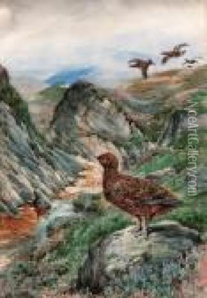 Grouse On The Scottish Moors Oil Painting - Andrew Scott Rankin