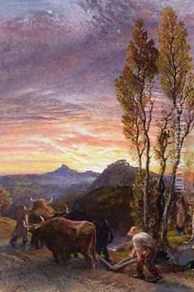 Oxen Ploughing at Sunset Oil Painting - Samuel Palmer