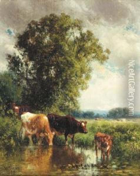 Cows Watering Oil Painting - William M. Hart