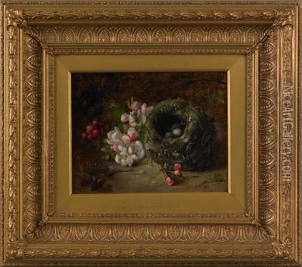 A Bird Nest And Flowers Oil Painting - Edward George Handel Lucas