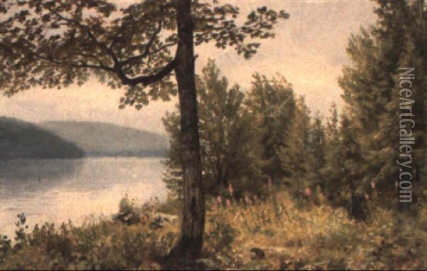Lake Placid, New York Oil Painting - William Trost Richards