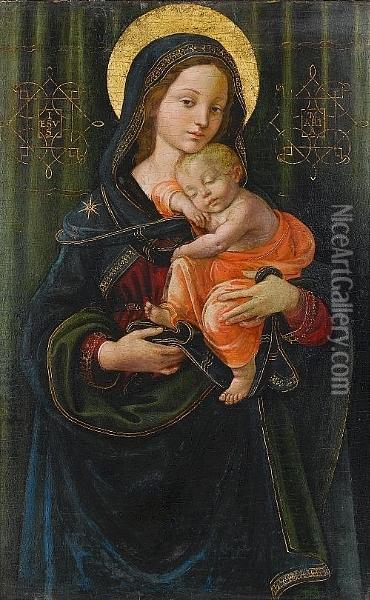 The Madonna And Child Oil Painting - Raffaello De'Carli Del Garbo